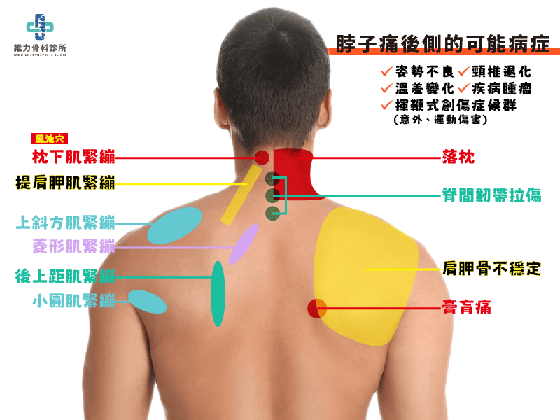 脖子痛後側的可能病症