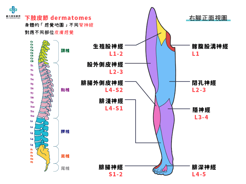 腳麻地圖