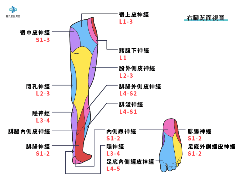 腳麻地圖